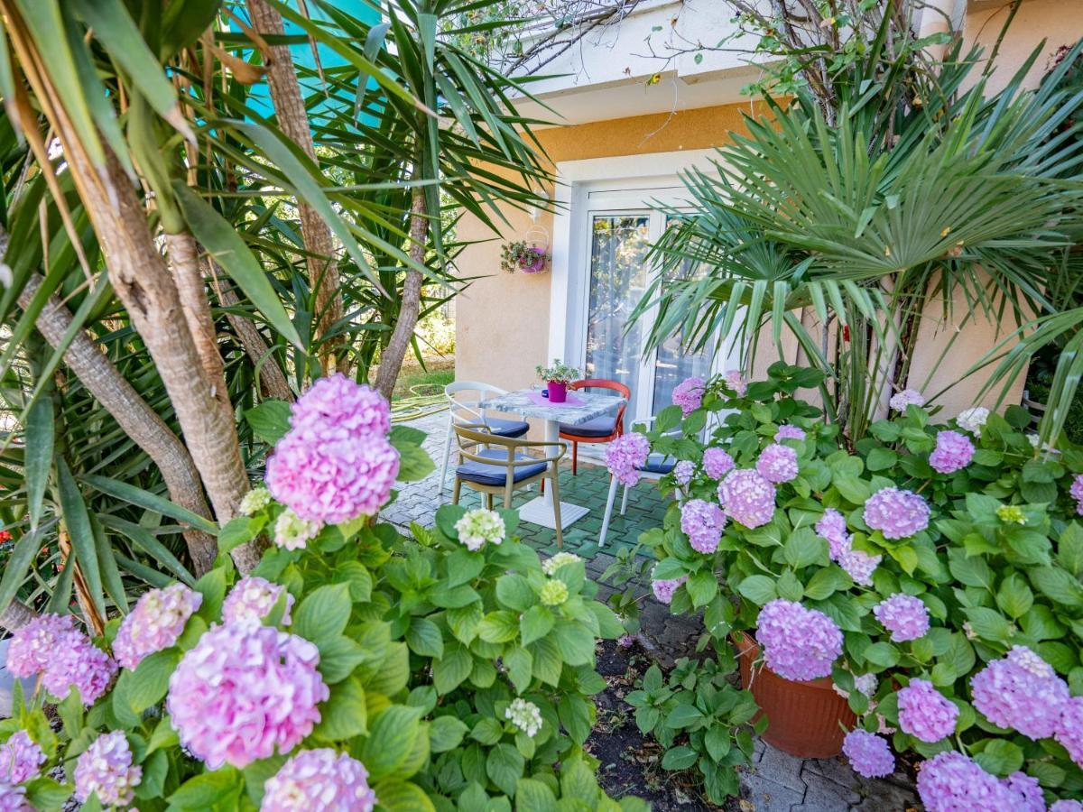 Apartments Villa Rudi Bibinje Dış mekan fotoğraf