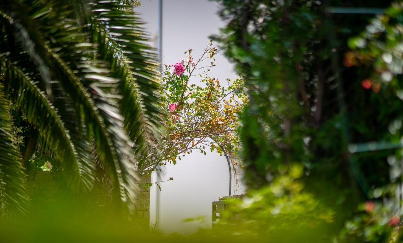 Apartments Villa Rudi Bibinje Dış mekan fotoğraf