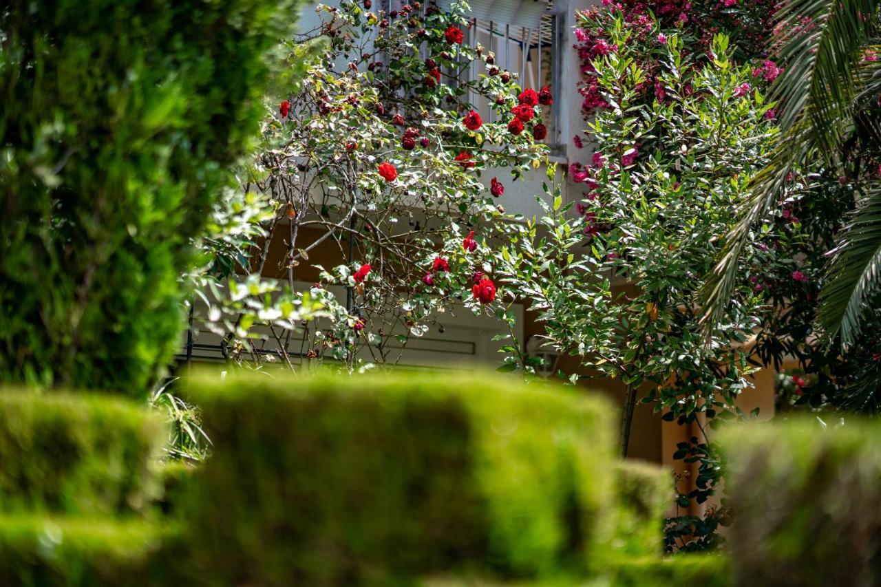 Apartments Villa Rudi Bibinje Dış mekan fotoğraf